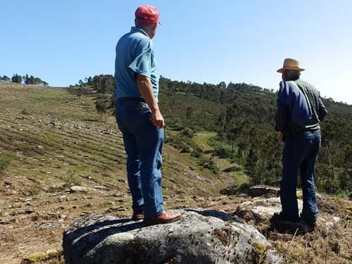 Gestión de montes